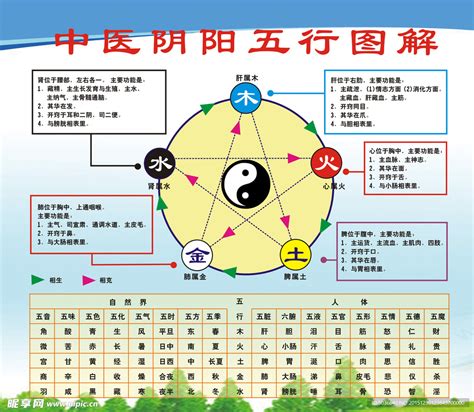 科技行業五行|命理五行对应的行业类别大全（必须收藏）